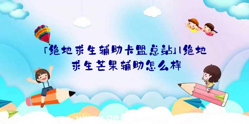 「绝地求生辅助卡盟总站」|绝地求生芒果辅助怎么样